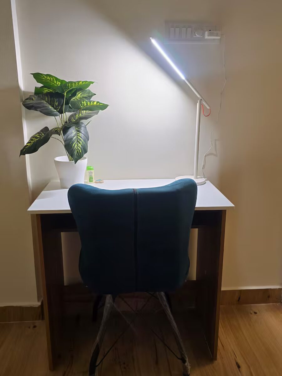 Work desk with chair and potted plant